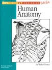 Anatomy: No. 21 (How to Draw and Paint) - Retail Maharaj