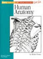 Anatomy: No. 21 (How to Draw and Paint) - Retail Maharaj