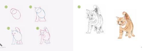 Cats: In Easy Steps (Draw 30 in Easy Steps) - Retail Maharaj