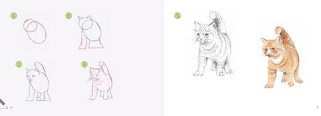 Cats: In Easy Steps (Draw 30 in Easy Steps) - Retail Maharaj