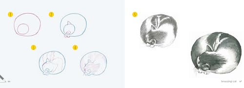Cats: In Easy Steps (Draw 30 in Easy Steps) - Retail Maharaj