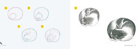 Cats: In Easy Steps (Draw 30 in Easy Steps) - Retail Maharaj