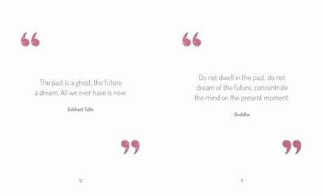 The Little Book of Mindfulness: For When Life Gets a Little Tough - Retail Maharaj