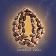 Mridanga Shape Shyama Tulsi Beads 3 Round Kanthi Mala - Sacred Neckwear for Spiritual Devotion - Retail Maharaj