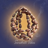 Mridanga Shape Shyama Tulsi Beads 3 Round Kanthi Mala - Sacred Neckwear for Spiritual Devotion - Retail Maharaj
