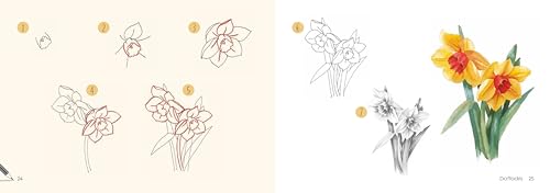 Draw 30: Flowers: in easy steps - Retail Maharaj