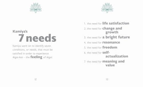 The Little Book of Ikigai - Retail Maharaj