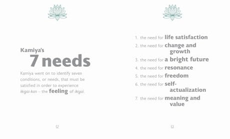 The Little Book of Ikigai - Retail Maharaj