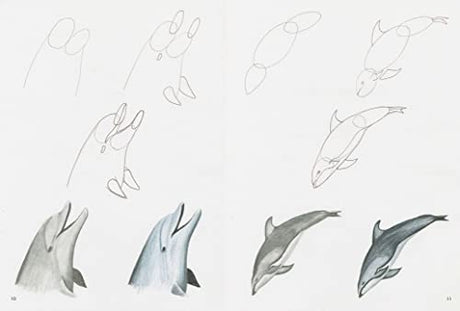 How to Draw: Sea Creatures - Retail Maharaj