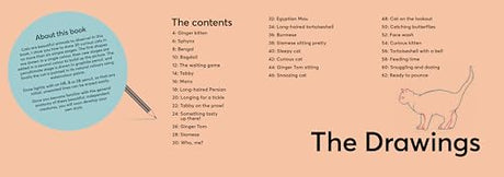 Cats: In Easy Steps (Draw 30 in Easy Steps) - Retail Maharaj