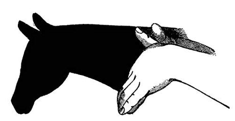Complete Book of Hand Shadows: Instructions for Shadowgraphy (Dover Books on Magic, Games and Puzzles) - Retail Maharaj