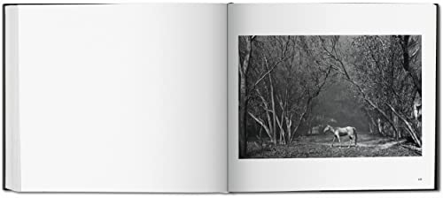 Sebastiao Salgado. Kuwait. A Desert on Fire - Retail Maharaj