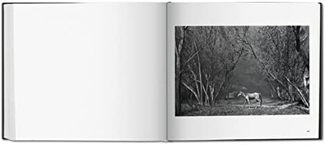 Sebastiao Salgado. Kuwait. A Desert on Fire - Retail Maharaj