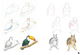 Draw 100: Animals - Retail Maharaj