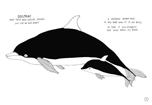 Baby Animals!: Amazing Adorable Facts - Retail Maharaj