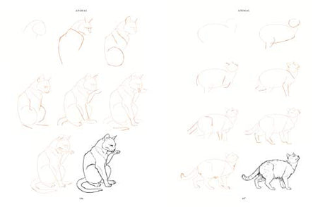 Draw 200 Animals: The Step-by-Step Way to Draw Horses, Cats, Dogs, Birds, Fish, and Many More Creatures - Retail Maharaj