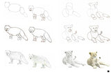 Draw 100: Animals - Retail Maharaj