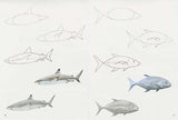 How to Draw: Sea Creatures - Retail Maharaj