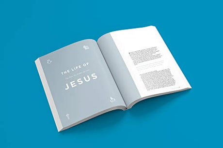 The New Testament Experience: The Gospels for the Modern World - Retail Maharaj