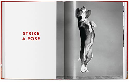 Walter Chandoha. Dogs. Photographs 1941-1991 - Retail Maharaj