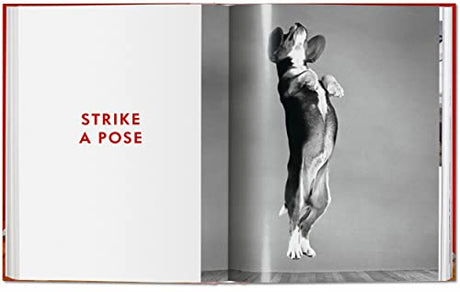 Walter Chandoha. Dogs. Photographs 1941-1991 - Retail Maharaj