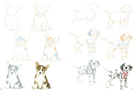 How to Draw Puppies in Simple Steps - Retail Maharaj