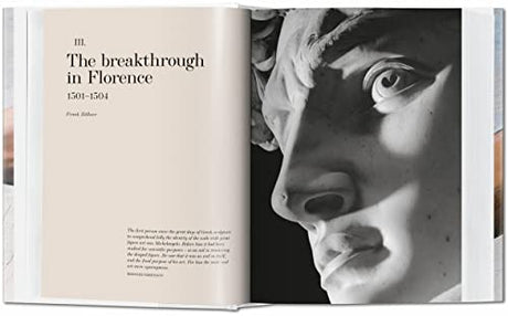 Michelangelo. The Complete Paintings, Sculptures and Arch. - Retail Maharaj