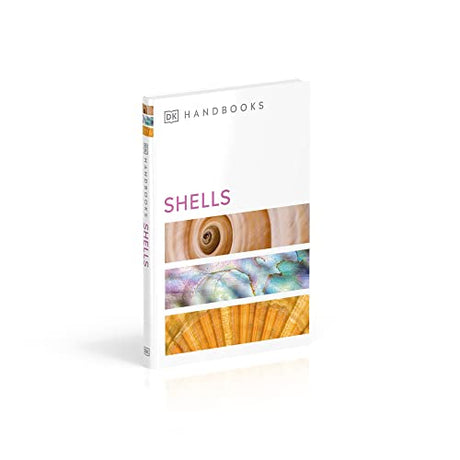Shells - Retail Maharaj