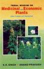 Tribal Wisdom On Medicinal And Economic Plants - Retail Maharaj