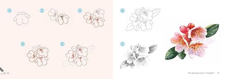 Draw 30: Flowers: in easy steps - Retail Maharaj