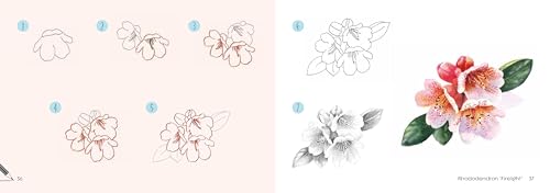 Draw 30: Flowers: in easy steps - Retail Maharaj