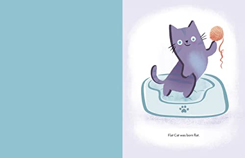 Flat Cat - Retail Maharaj