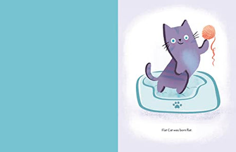Flat Cat - Retail Maharaj