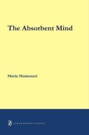 THE MONTESSORI ELEMENTARY MATERIAL - Retail Maharaj