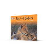 Big Cat Babies: Band 05/Green (Collins Big Cat) - Retail Maharaj