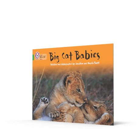 Big Cat Babies: Band 05/Green (Collins Big Cat) - Retail Maharaj
