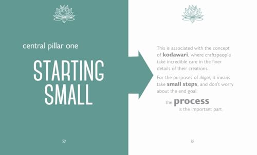 The Little Book of Ikigai - Retail Maharaj