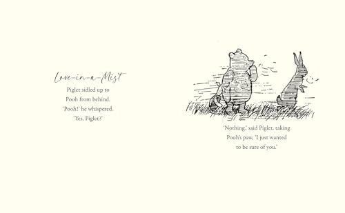 Winnie-the-pooh: Love from Pooh - Retail Maharaj