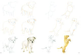 How to Draw Puppies in Simple Steps - Retail Maharaj