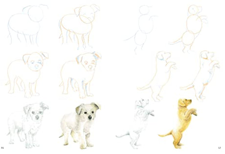 How to Draw Puppies in Simple Steps - Retail Maharaj