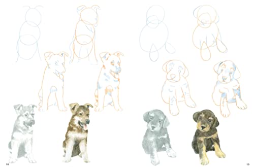 How to Draw Puppies in Simple Steps - Retail Maharaj