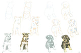 How to Draw Puppies in Simple Steps - Retail Maharaj