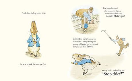 The Tale of Peter Rabbit Picture Book - Retail Maharaj