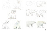 Draw 100: Animals - Retail Maharaj