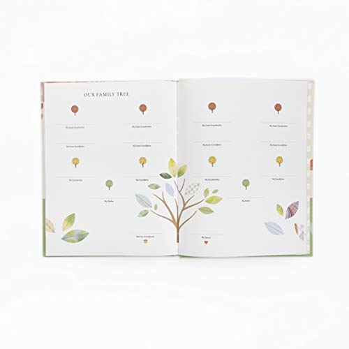 Dear Grandchild, This Is Me: A Gift of Stories, Wisdom, and Off-the-Record Tales - Retail Maharaj