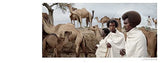 Ethiopia: A Photographic Tribute to East Africa's Diverse Cultures & Traditions - Retail Maharaj