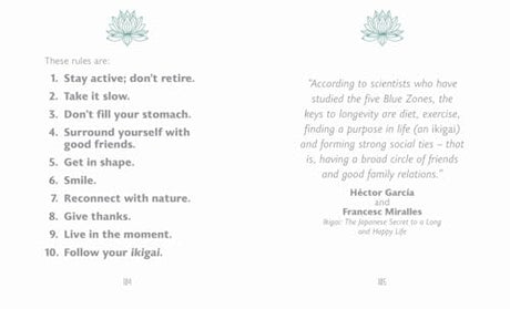 The Little Book of Ikigai - Retail Maharaj