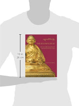 The Illusive Play - Retail Maharaj