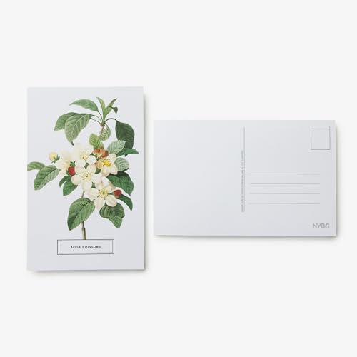New York Botanical Garden: In Full Bloom Postcards: 100 Postcards from the Archives of the New York Botanical Garden - Retail Maharaj