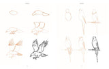 Draw 200 Animals: The Step-by-Step Way to Draw Horses, Cats, Dogs, Birds, Fish, and Many More Creatures - Retail Maharaj
